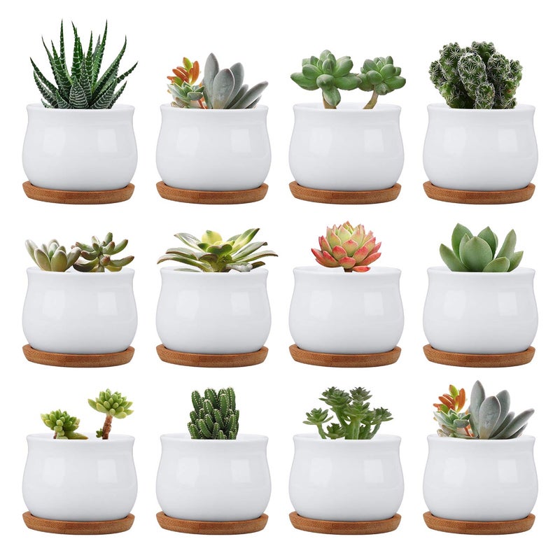 Succluent Pots Small Flower Pots Planter Pots with DrinageCeramic Flowers Pots with Bamboo Tray for Cactus12 Pack