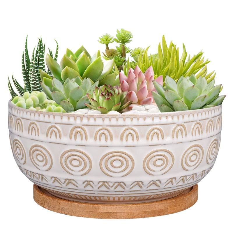 Eightpot 8 Inch Ceramic Succulent Planter Pot with Drainage Hole and Saucer Round Shallow Planter for Indoor Plants, White - Image 1