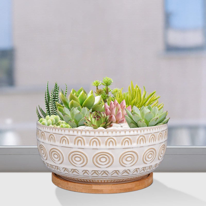 Eightpot 8 Inch Ceramic Succulent Planter Pot with Drainage Hole and Saucer Round Shallow Planter for Indoor Plants, White - Image 5