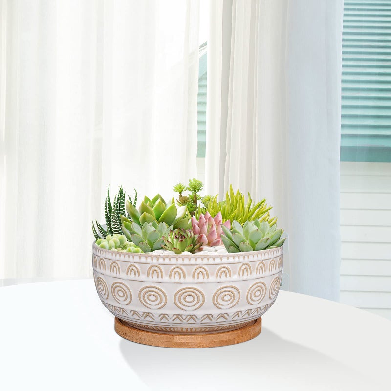 Eightpot 8 Inch Ceramic Succulent Planter Pot with Drainage Hole and Saucer Round Shallow Planter for Indoor Plants, White - Image 4