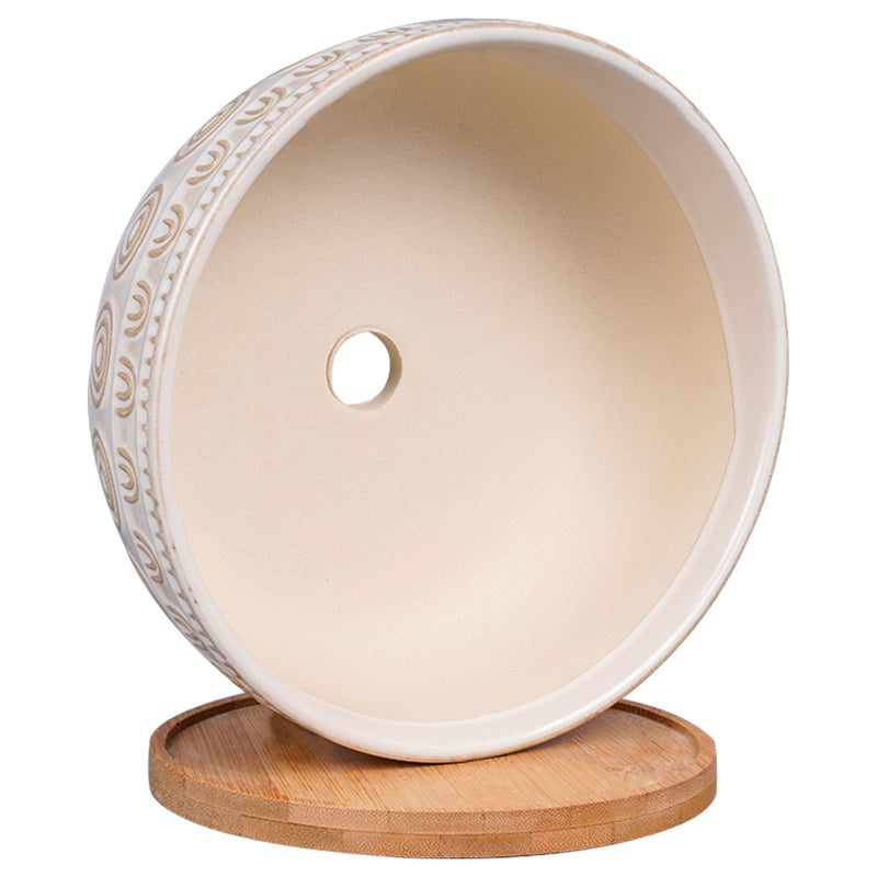 Eightpot 8 Inch Ceramic Succulent Planter Pot with Drainage Hole and Saucer Round Shallow Planter for Indoor Plants, White - Image 3