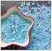 EHOPE Heart Star Butterfly Craft Sequins Holographic Nail Glitte Confetti Shell Snowflakes Nail Art Holographic Glitter Nail Art Glitter Sequins for Women Girls Nail DecorationBlue50G - Image 2