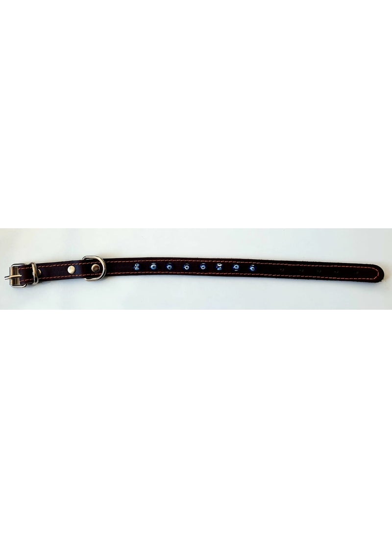 PET Evil Eye Beaded Cat Dog Collar 40 cm 