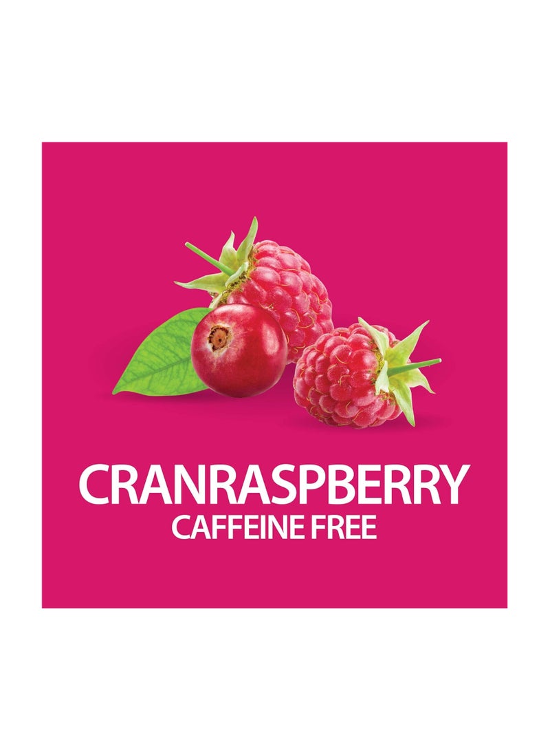 القرن الحادي والعشرون شاي التخسيس العشبي التوت البري خالي من الكافيين 24 كيس شاي - Image 2