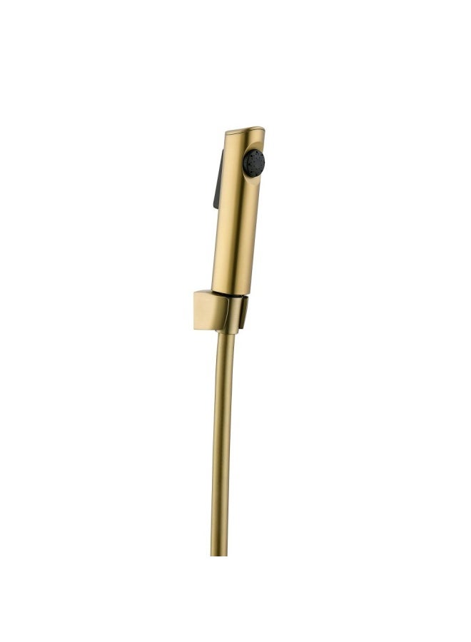 DANUBE HOME Milano Phantom Bidet Set - Brushed Gold â€“ With 3-Year Warranty - Image 2