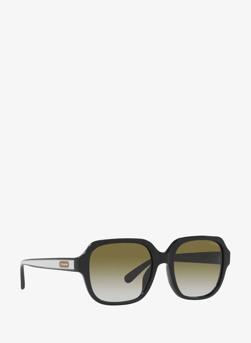 Coach  0Hc8335U Oversized Sunglasses for Women | Best Price UAE