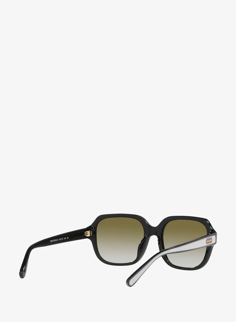 Coach  0Hc8335U Oversized Sunglasses for Women | Best Price UAE