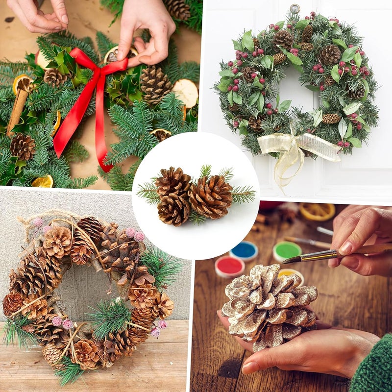 Pextian 20PCS Natural Pine Cones 1422 Inches Christmas Rustic Pinecones Bulk Ornaments for Crafting Fall Garland Thanksgiving Decorations - Image 3