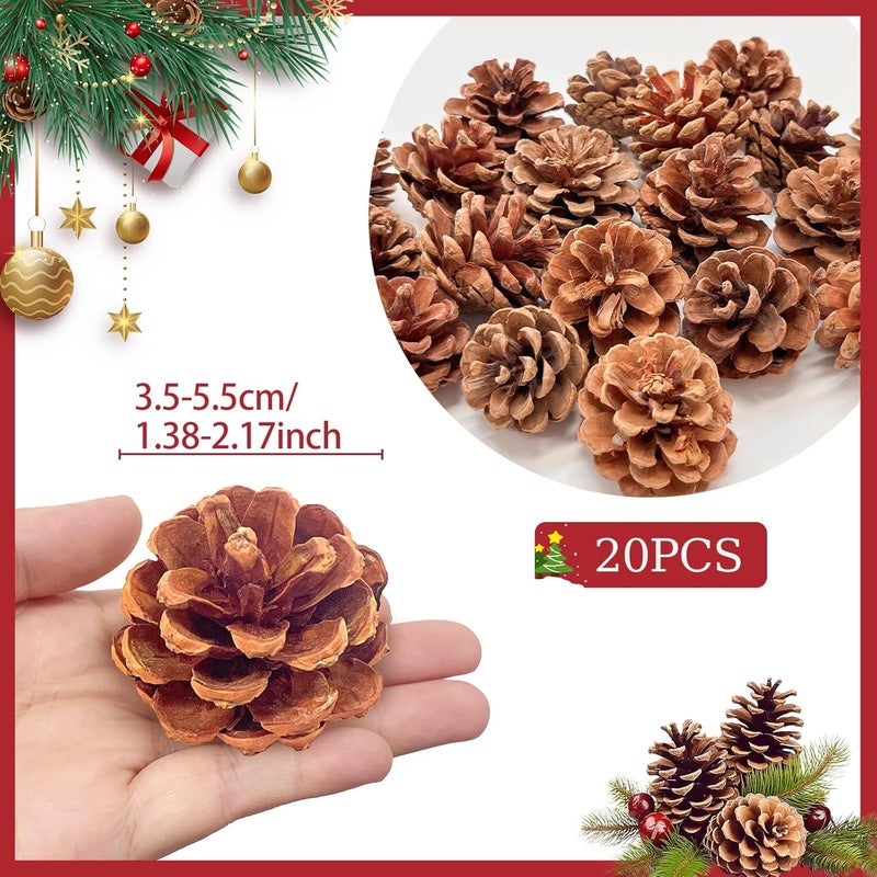 Pextian 20PCS Natural Pine Cones 1422 Inches Christmas Rustic Pinecones Bulk Ornaments for Crafting Fall Garland Thanksgiving Decorations - Image 2