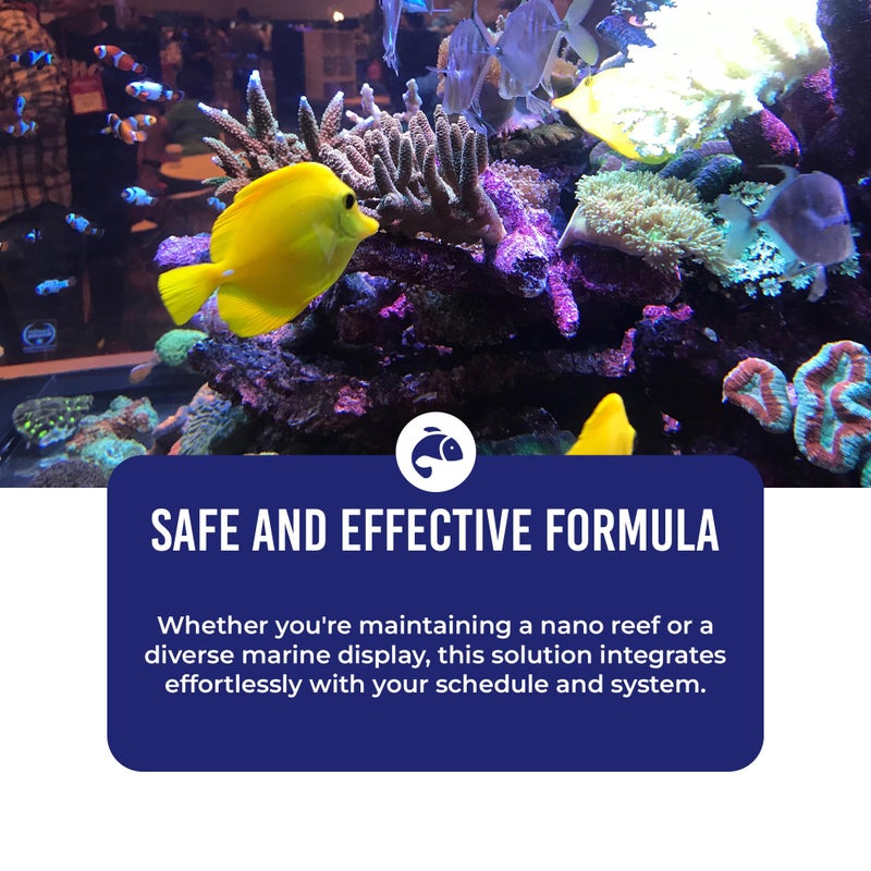 DrTim's Aquatics DrTimâ€™s Aquatics Waste-Away Reef â€“ 32 oz â€“ Natural Maintenance Formula â€“ Helps Break Down Hidden Organic Waste, Supports Flow & Clarity, Keeps Filters Running Freely - Image 4