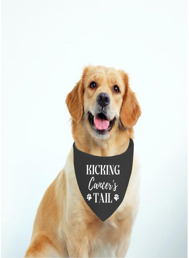JXGZSO 1 Piece Cancer Free Dog Bandana Kicking Cancer's Tail Dog Bandana Cancer Survivor Dog Scarf (Cancers Tail Dog) - Image 5