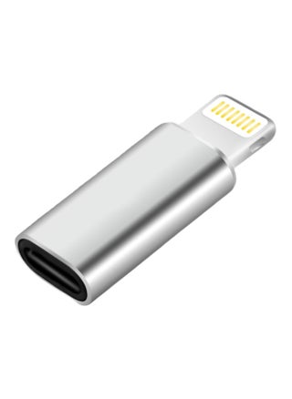 Suitable For Apple Mobile Phone Typec To Iphone Adapter Charging Data Cable Adapter 5v2a Converter 27w-Interface Form:Type C Female To Lightning Silver 12w - pzsku/ZA04935598307710EE644Z/45/1744017992/d90c9738-a86e-4aaa-b9cd-746939bdf01a