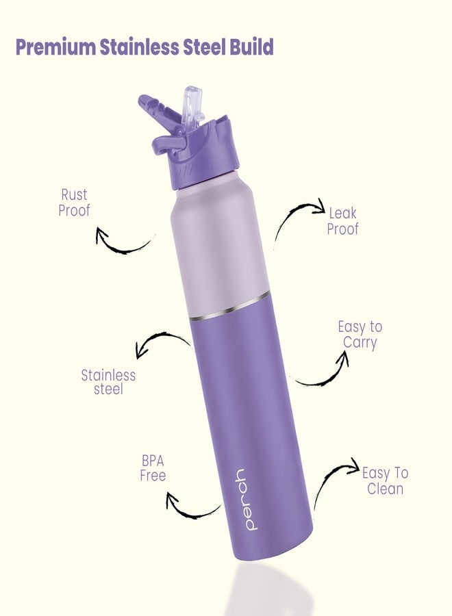 Perch Stainless Steel Sipper Water Bottle 1 LTR with Straw Cleaner | Single Wall Fridge Bottle| For Home, School, Office, Gym, Travel | Lightweight | BPA Free, Magic 1000ml | Set of 2 (Purple & Black) - Image 3