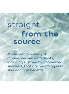 ذا سي ويد باث كو. بلسم إزالة السموم من Seaweed Bath Co.، برائحة إكليل الجبل والنعناع، 12 أونصة، أعشاب بحرية تم حصادها بشكل مستدام، طين البحر الفرنسي، خل التفاح، لجميع أنواع الشعر  - Image 4