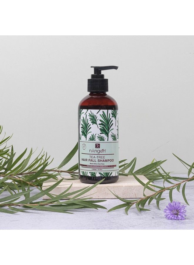 ningen Teatree Hair Fall Shampoo I Infused With Black Olive Zea Mays I Irritation Free Paraben Free I For Stronger And Thicker Hair Fights Dandruff I 300G Off White - Image 4