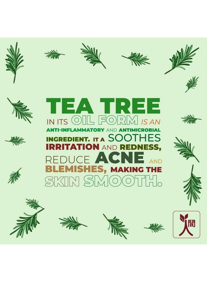 ningen Teatree Hair Fall Shampoo I Infused With Black Olive Zea Mays I Irritation Free Paraben Free I For Stronger And Thicker Hair Fights Dandruff I 300G Off White - Image 5