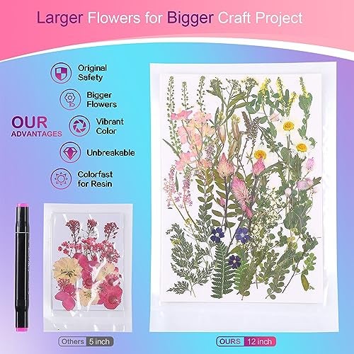 ZMRU Large Dried Pressed Flowers for Art Crafts, Real Dry Natural Flower Leaf Fruit Bulk for Resin Mold, Cake Decor, Glass Frame (Spring Garden) - Image 2
