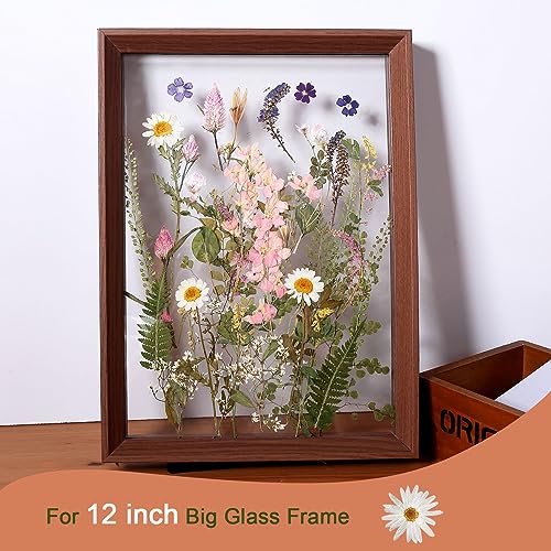 ZMRU Large Dried Pressed Flowers for Art Crafts, Real Dry Natural Flower Leaf Fruit Bulk for Resin Mold, Cake Decor, Glass Frame (Spring Garden) - Image 4