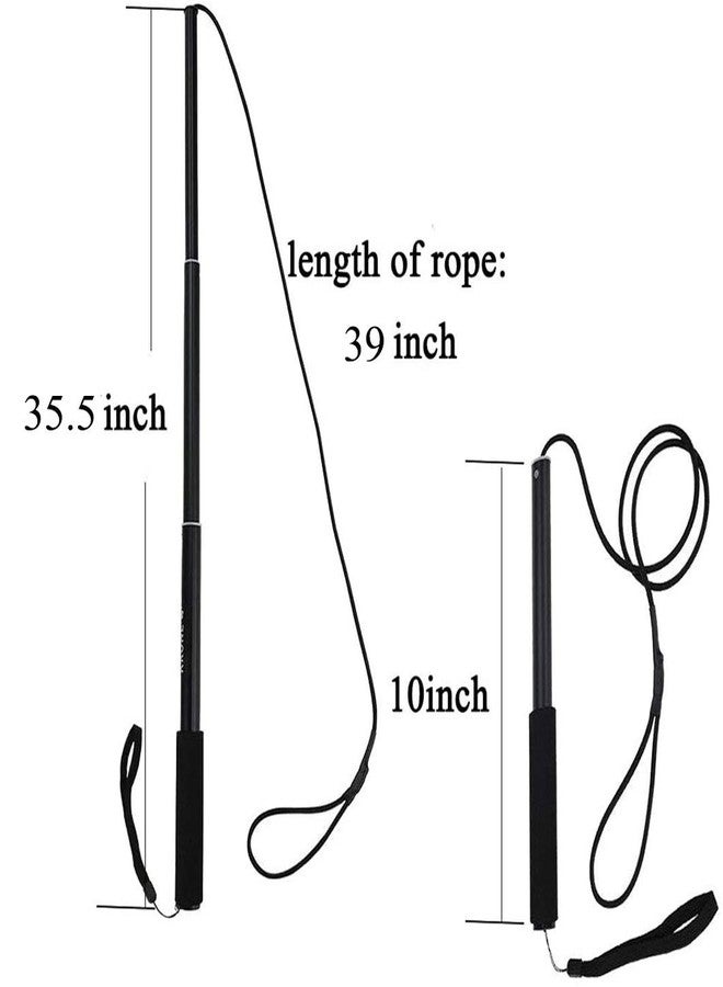 AMYESE Interactive Dog Toys - Extendable Flirt Pole with 2pcs Braided Rope Tugs for Dog Outdoor Entertainment, Train and Exercise, Blue, Size L - Image 2