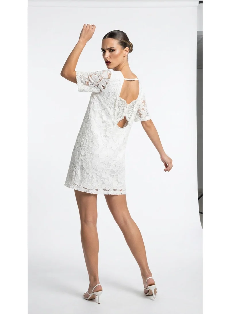 2Trendy Women's White Lace Shift Dress with Butterfly Cutout Back