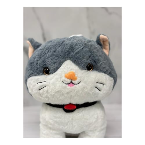 ADORA Cute Cat Soft Toy | Super Soft Stuffed Cat Plush Teddy | Adorable Small Cat Teddy Bear for Kids & Girls for Birthday & Special Occasions - Image 4