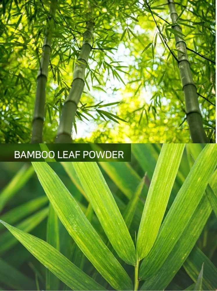 PALPLUS Organic Natural Pure Korean Bamboo Leaf Extract Powder - 10.58 Ounce (300g) - Image 5