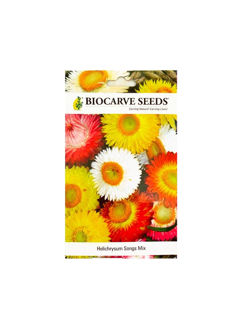 BIOCARVE SEEDS Helichrysum Flower Mix Seeds