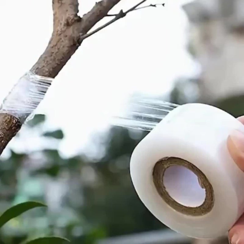 Stretchable Transparent Adhesive Tape 1 Roll 40000cm For Gardening Plant Care Transplanting Grafting Sewing Supplies Managing Tangles And Securing Knots - Image 1