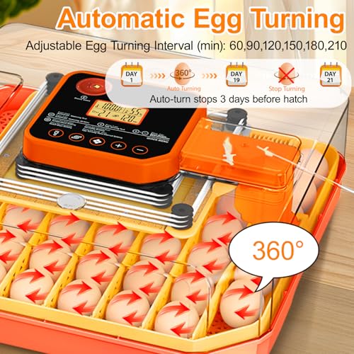 Lebenwell 48 Egg Incubators for Hatching Eggs, Smart Egg Incubator with Automatic Egg Turning, Temperature and Humidity Control, Egg Candler, External Water Bottle Refill & Air Vent, 360° Clear View - Image 3