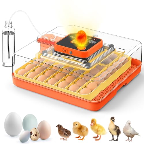 Lebenwell 48 Egg Incubators for Hatching Eggs, Smart Egg Incubator with Automatic Egg Turning, Temperature and Humidity Control, Egg Candler, External Water Bottle Refill & Air Vent, 360° Clear View - Image 1