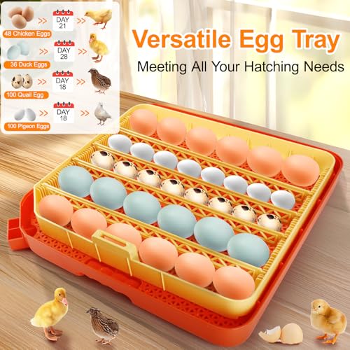 Lebenwell 48 Egg Incubators for Hatching Eggs, Smart Egg Incubator with Automatic Egg Turning, Temperature and Humidity Control, Egg Candler, External Water Bottle Refill & Air Vent, 360° Clear View - Image 2