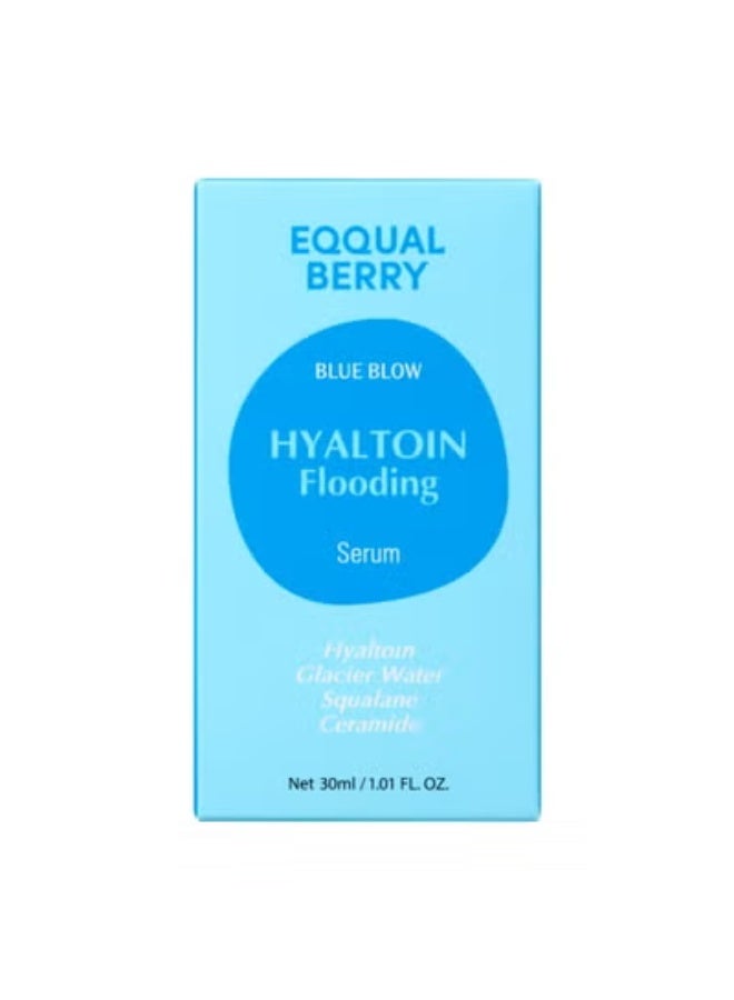 EQQUALBERRY - Hyaltoin Flooding Serum 30ml - Image 2