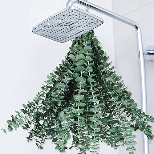 Gifugi 22 PCS Dried Eucalyptus Bundle for Shower - 17" Large Preserved Eucalyptus Stems Shower Plant, Fresh Real Eucalyptus Leaves for Shower Hanging, Artificial Flowers Arrangement, Home Bathroom Decor - Image 1