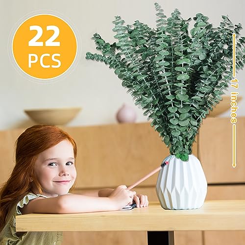 Gifugi 22 PCS Dried Eucalyptus Bundle for Shower - 17" Large Preserved Eucalyptus Stems Shower Plant, Fresh Real Eucalyptus Leaves for Shower Hanging, Artificial Flowers Arrangement, Home Bathroom Decor - Image 5