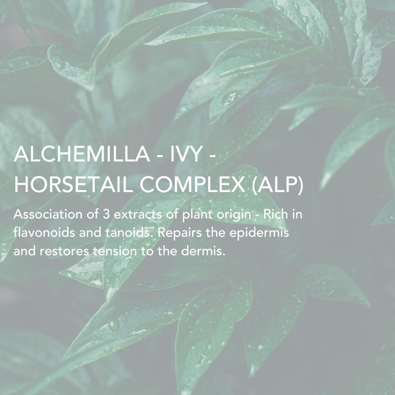 Lierac Phytolastil Stretch Mark Removal Serum - Firms Skin, Fades Cellulite, Diminishes Stretch Marks on Breasts, Abdomen, Hips and Thighs - Hydrating & Firming for All Skin Types - 75ml - Image 5