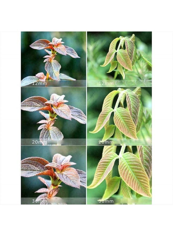 Mcoplus Extnp Auto Focus Macro Extension Tube Set (12mm 20mm 36mm) for Nikon AF AF-S DX FX SLR Cameras - Image 5