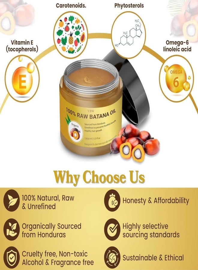 YBW Raw Batana Oil for Hair Growth by Dr. Sebi Organic Raw Honduras Oil - 100% Pure & Natural Botana Paste for Thicker, Stronger Hair for Men and Women - Image 5