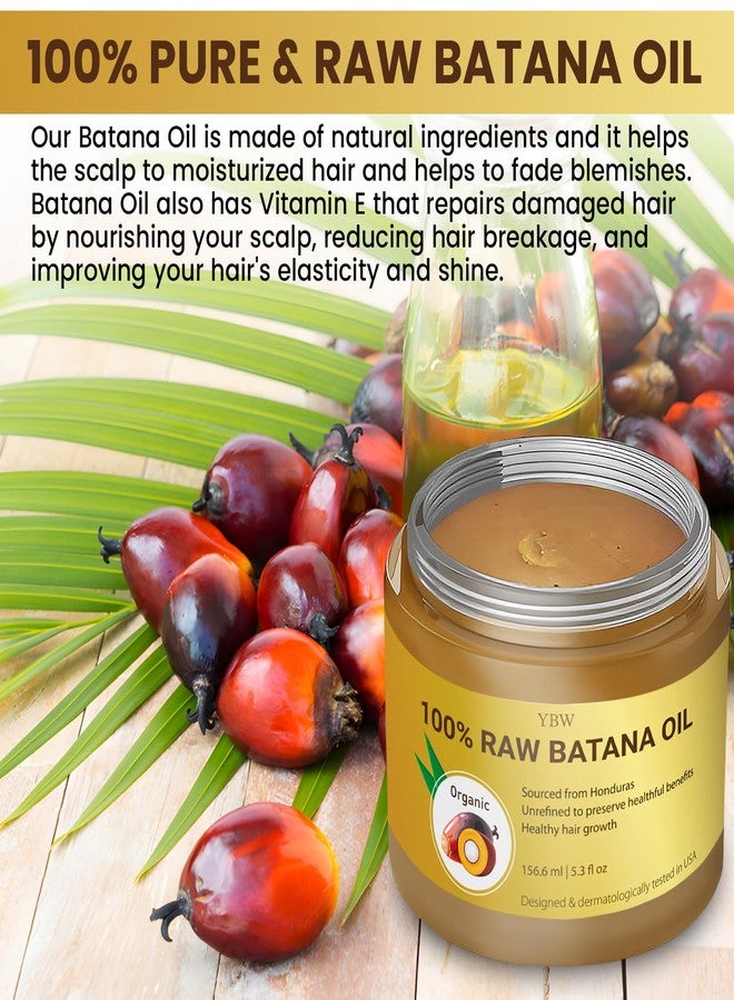 YBW Raw Batana Oil for Hair Growth by Dr. Sebi Organic Raw Honduras Oil - 100% Pure & Natural Botana Paste for Thicker, Stronger Hair for Men and Women - Image 2