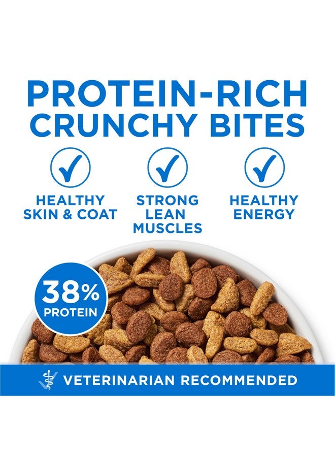 Purina ONE Purina ONE Plus High Protein Cat Food Dry Salmon and Ocean Whitefish Cat Skin and Coat Health Formula - 3.5 lb. Bag - Image 2