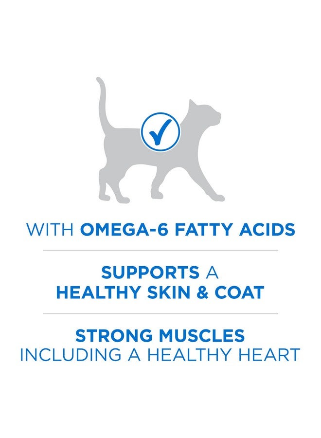 Purina ONE Purina ONE Plus High Protein Cat Food Dry Salmon and Ocean Whitefish Cat Skin and Coat Health Formula - 3.5 lb. Bag - Image 4