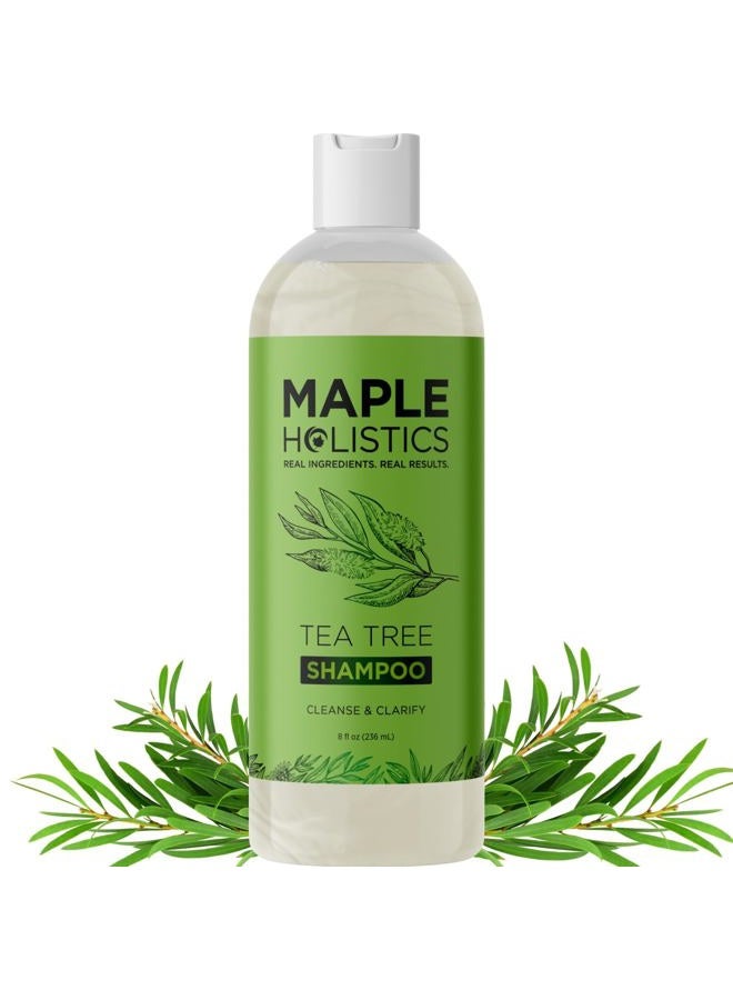 Maple Holistics Clarifying Shampoo for Build Up & Oily Hair - Tea Tree Shampoo for Men and Women with Rosemary Essential Oil for Oily Hair and Scalp - Color Safe Vegan Sulfate Silicone & Paraben Free (8 Fl Oz) - Image 1