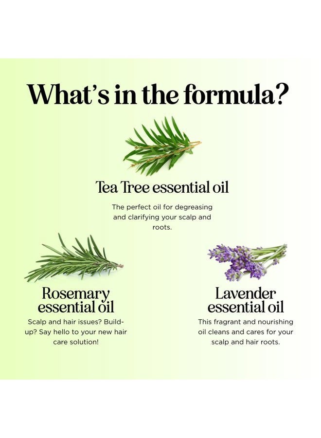 Maple Holistics Clarifying Shampoo for Build Up & Oily Hair - Tea Tree Shampoo for Men and Women with Rosemary Essential Oil for Oily Hair and Scalp - Color Safe Vegan Sulfate Silicone & Paraben Free (8 Fl Oz) - Image 5