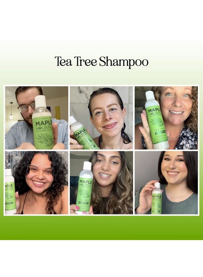 Maple Holistics Clarifying Shampoo for Build Up & Oily Hair - Tea Tree Shampoo for Men and Women with Rosemary Essential Oil for Oily Hair and Scalp - Color Safe Vegan Sulfate Silicone & Paraben Free (8 Fl Oz) - Image 2