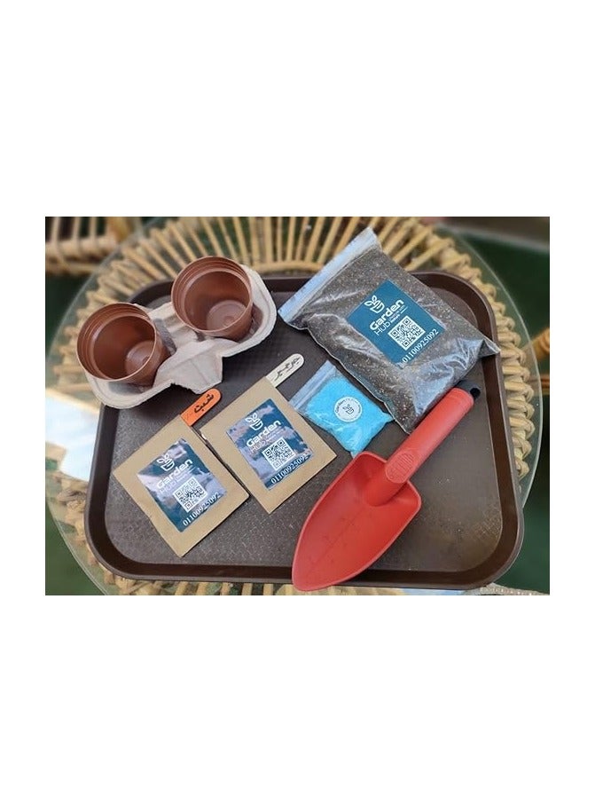 مجموعة زراعة النباتات الداخلية من جاردن هاب، 2 وعاء بلاستيكي، مزيج تربة، بذور ثابتة، مستلزمات الزراعة - Image 1