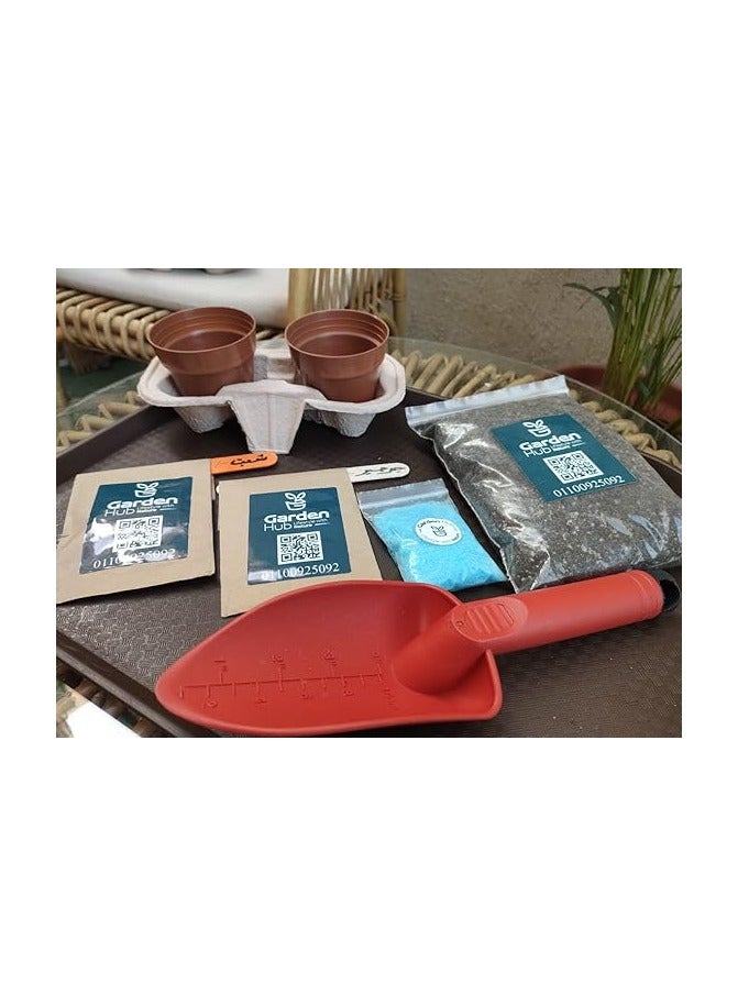 مجموعة زراعة النباتات الداخلية من جاردن هاب، 2 وعاء بلاستيكي، مزيج تربة، بذور ثابتة، مستلزمات الزراعة - Image 2