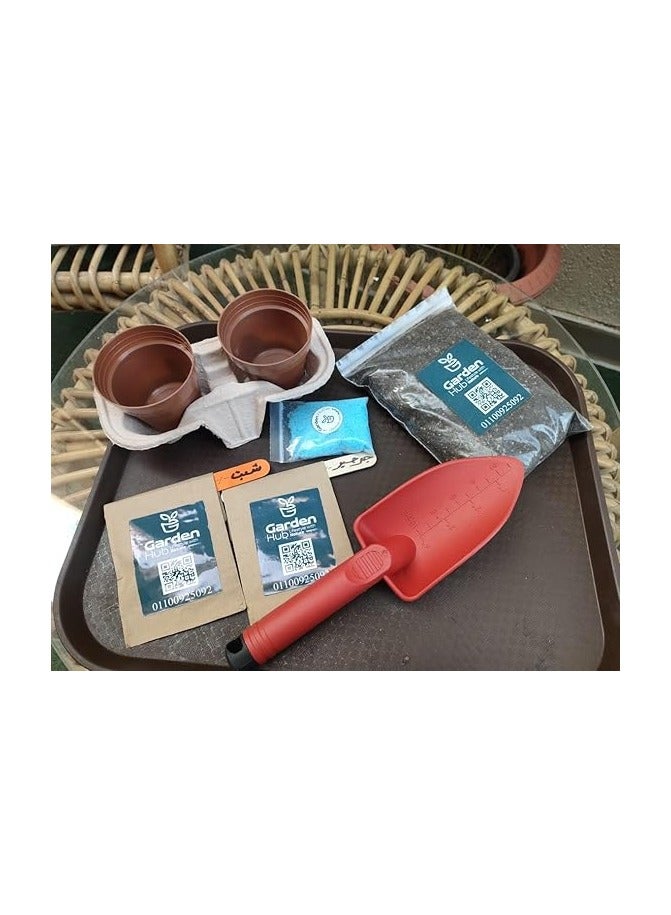 مجموعة زراعة النباتات الداخلية من جاردن هاب، 2 وعاء بلاستيكي، مزيج تربة، بذور ثابتة، مستلزمات الزراعة - Image 3