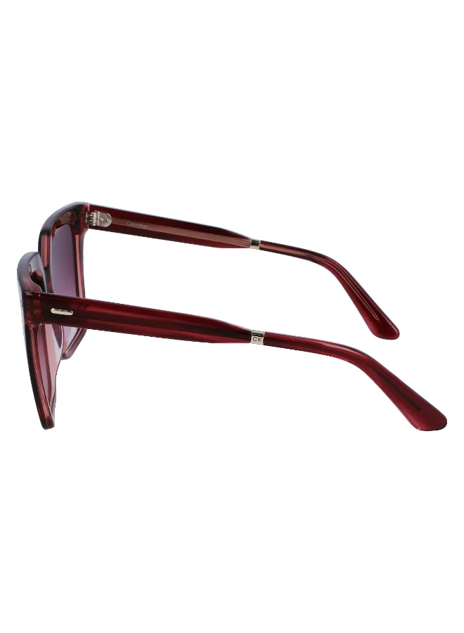 CALVIN KLEIN FULL RIM ACETATE CALVIN KLEIN SUN CK22534S