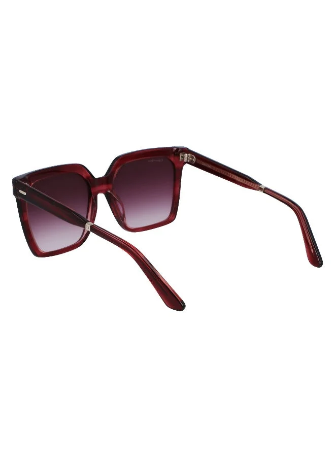 CALVIN KLEIN  FULL RIM ACETATE CALVIN KLEIN SUN CK22534S  | Best Price UAE