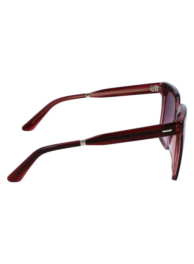 CALVIN KLEIN  FULL RIM ACETATE CALVIN KLEIN SUN CK22534S  | Best Price UAE