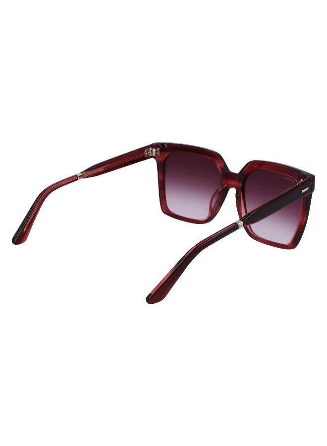 CALVIN KLEIN  FULL RIM ACETATE CALVIN KLEIN SUN CK22534S  | Best Price UAE